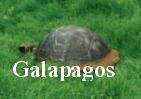 Galapagos