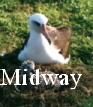 Midway