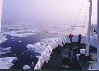 Spitsbergen10