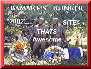 Bammo's Awesome Award