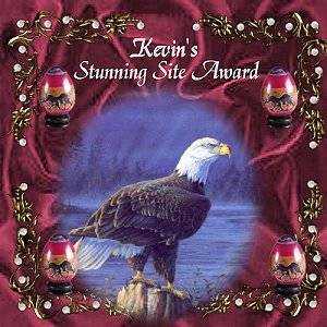 Kevin's Stunning Award