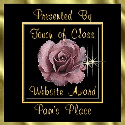 Pam's Touch of Class Award