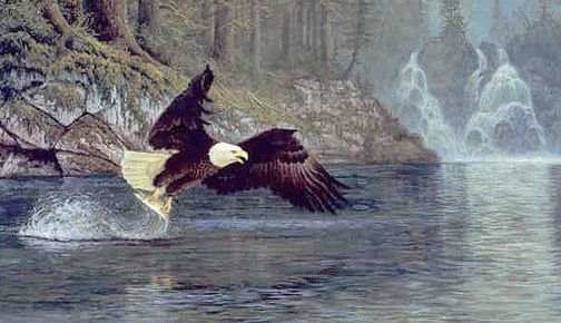 eagle falls fish