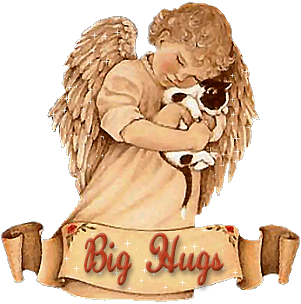 Angel kitty hugs
