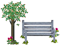 tree with bench