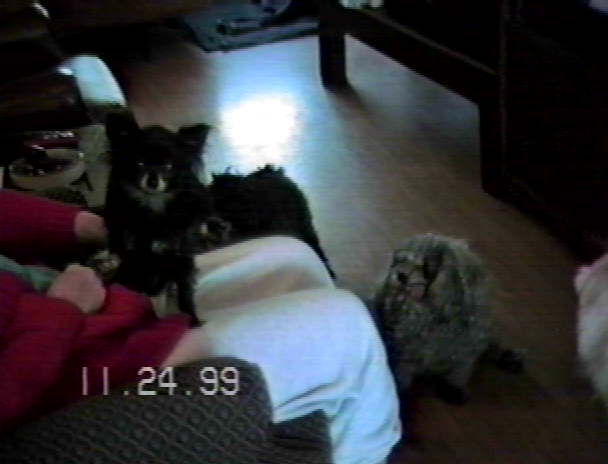 Candy and Stanley