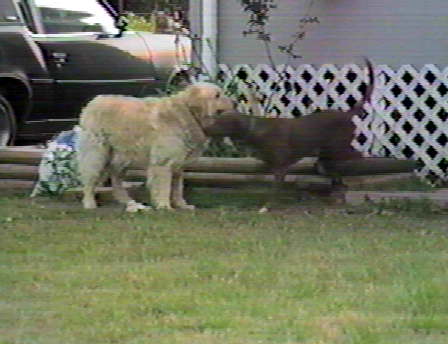 Omalley and Dinah