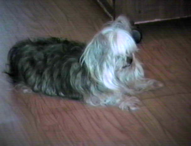 Stanley