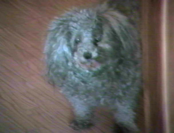Stanley