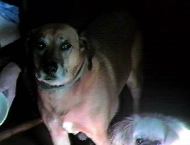 Wanda