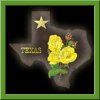 wild texas rose by jodi thomas