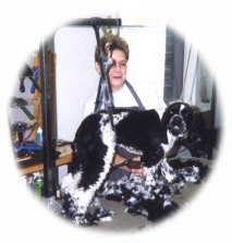 Description of the image