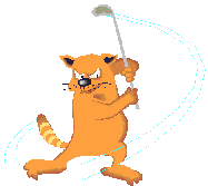 Cat Swinging Gif