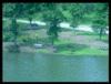 Park from my camp